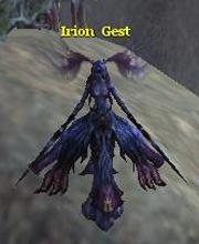 Irion Gest